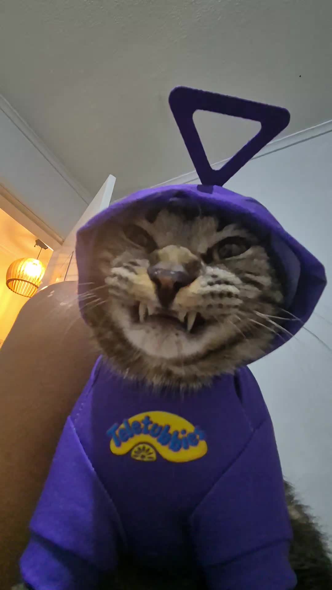 @Mushu