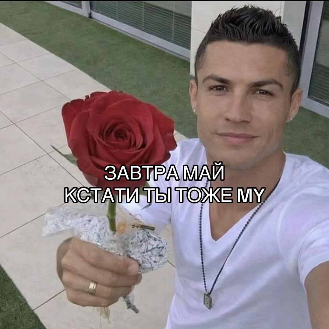 @nikitooooos