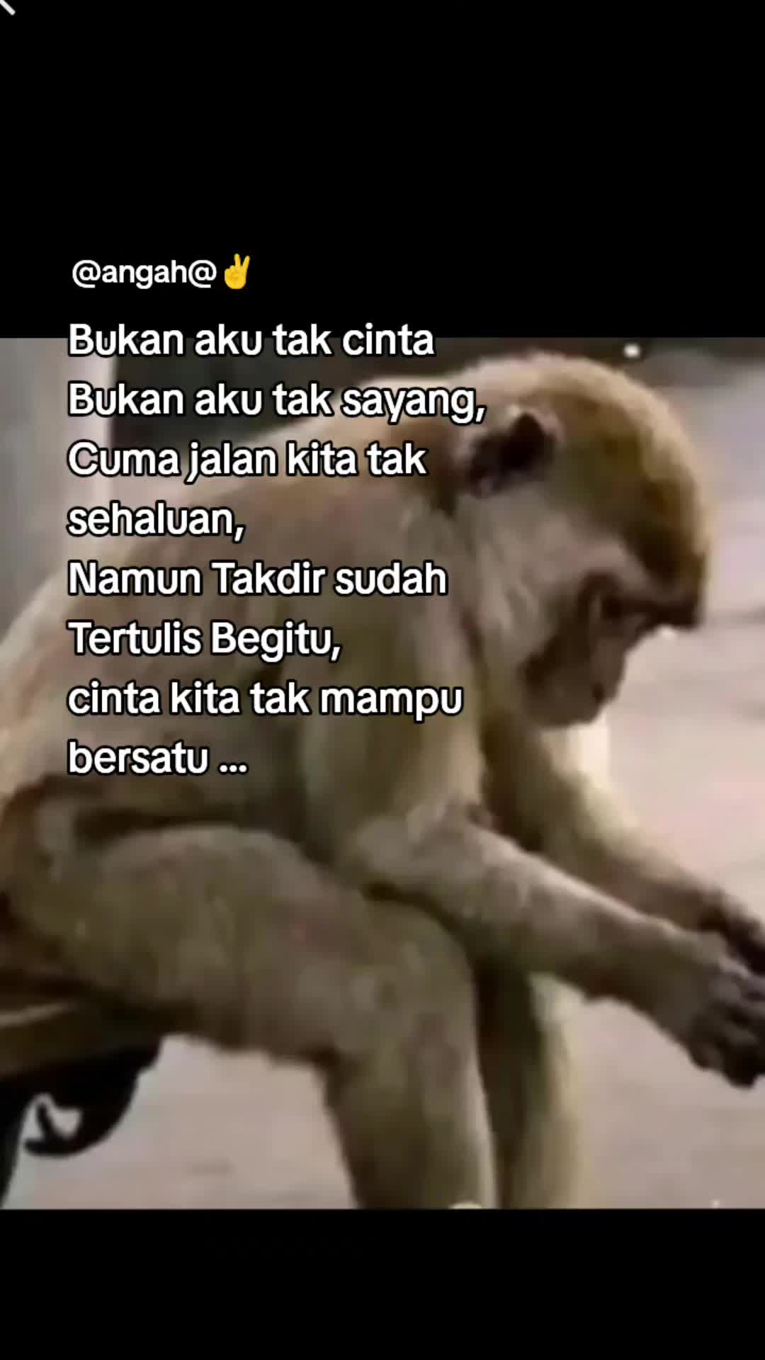 @@angah@✌️