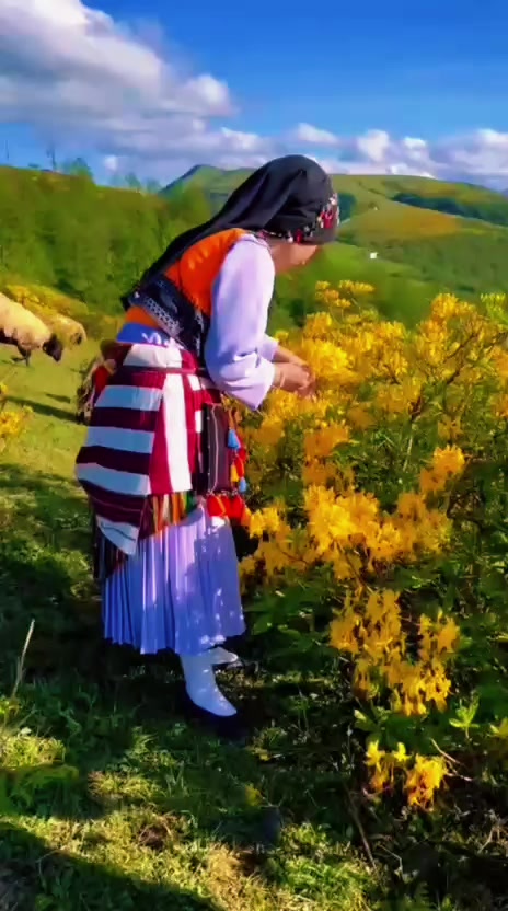 @Hasan Kuloğlu