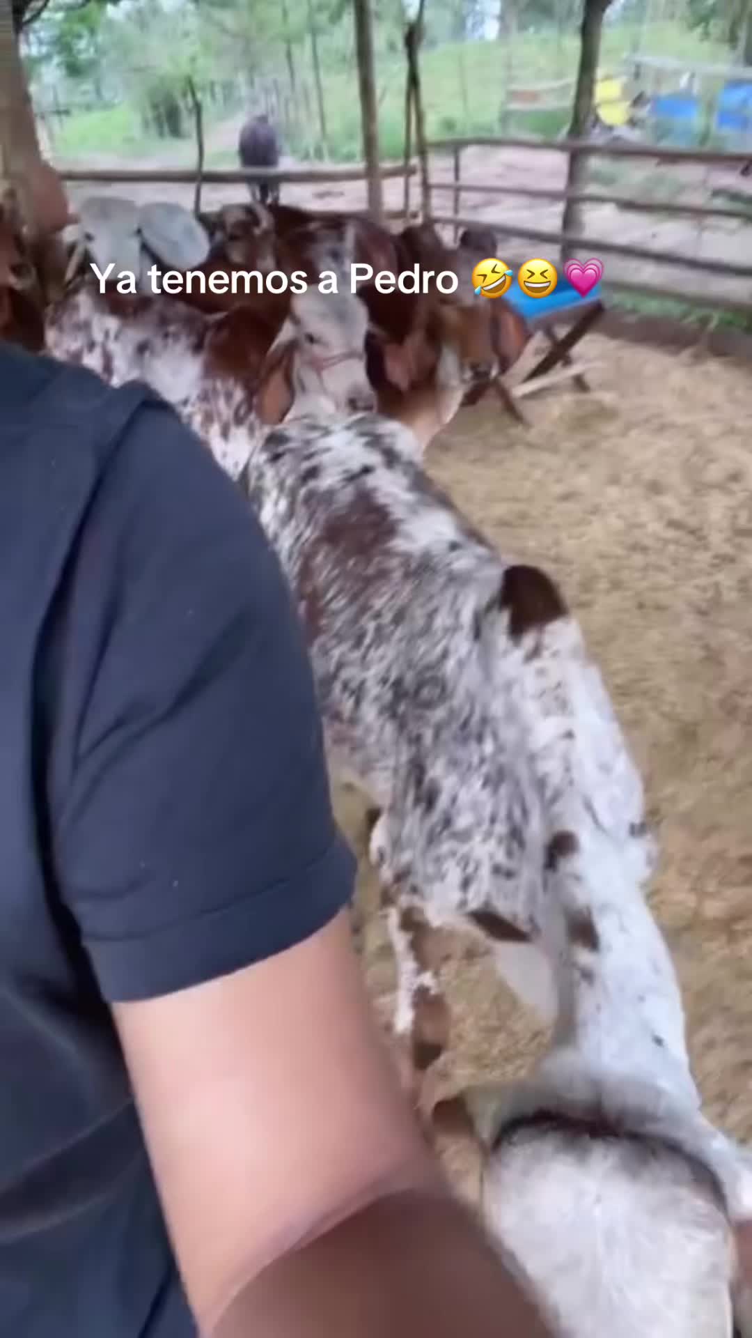 @k