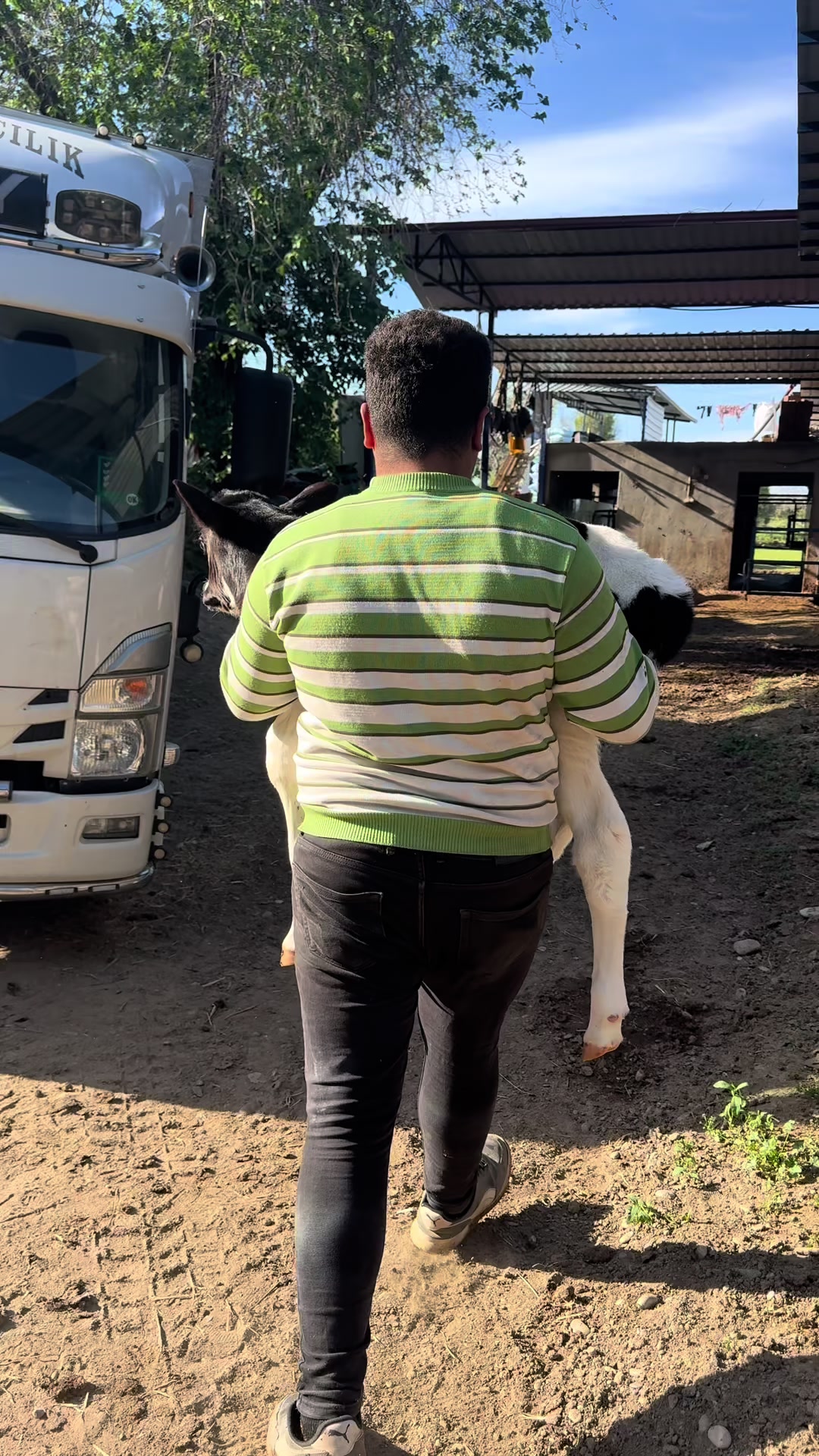 @Turgay Uşan