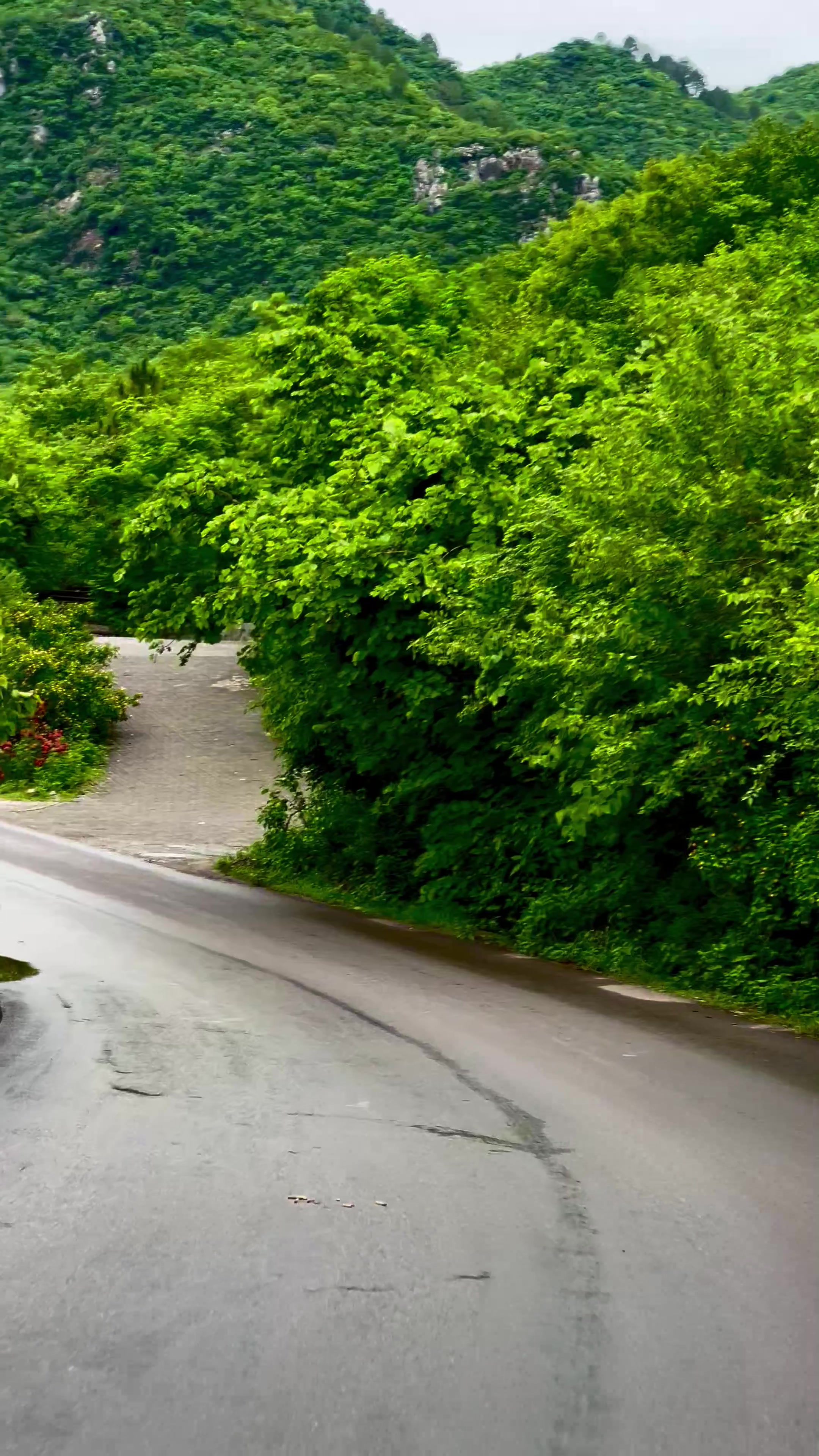 @𝐋𝐨𝐯𝐞-𝐋𝐢𝐟𝐞-OF-𝐈𝐒𝐁🍃