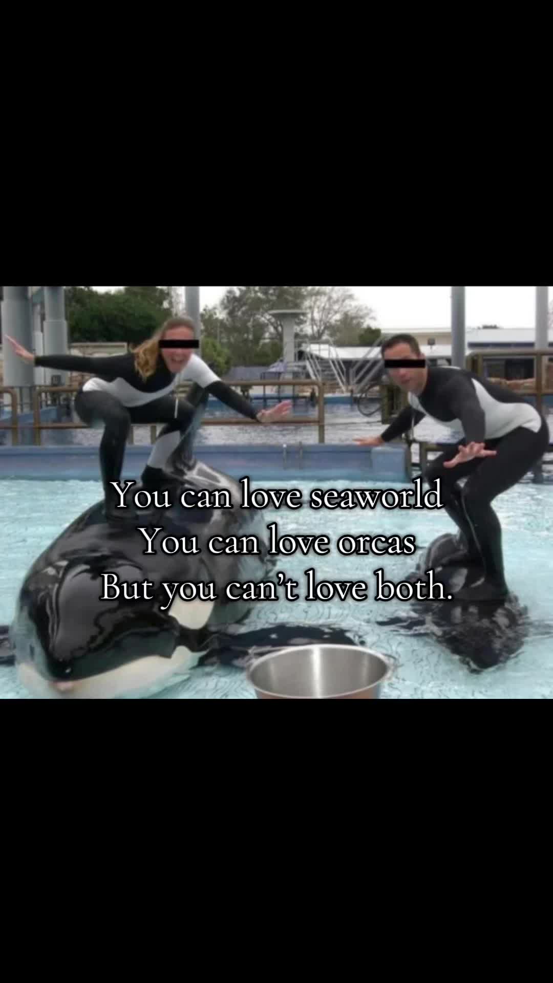 @animalrightsdaily