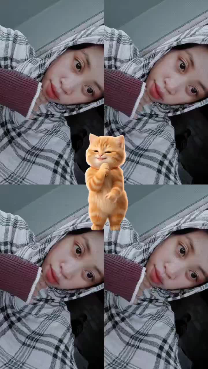 @🐾