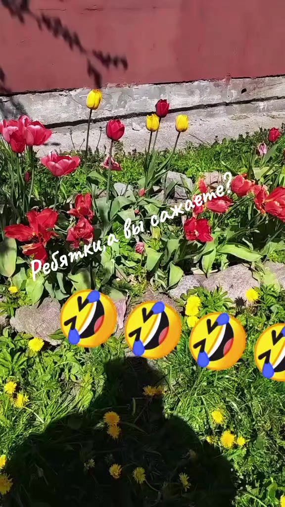@Танюшка74