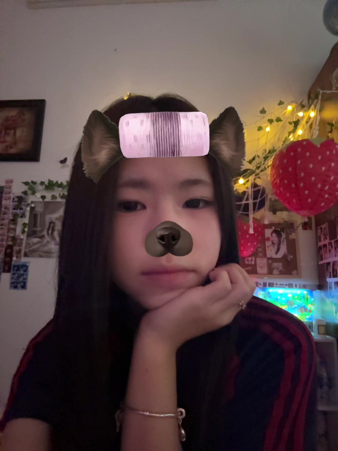 @๐ท๐๐๐ฃ๐๐๐๐ฃ๐ ๐ฅ