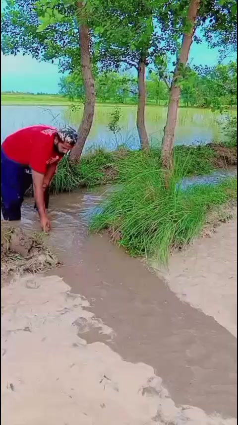 @جانی چٹھہ ــ کوٹلے ــ آلہ143✨✨