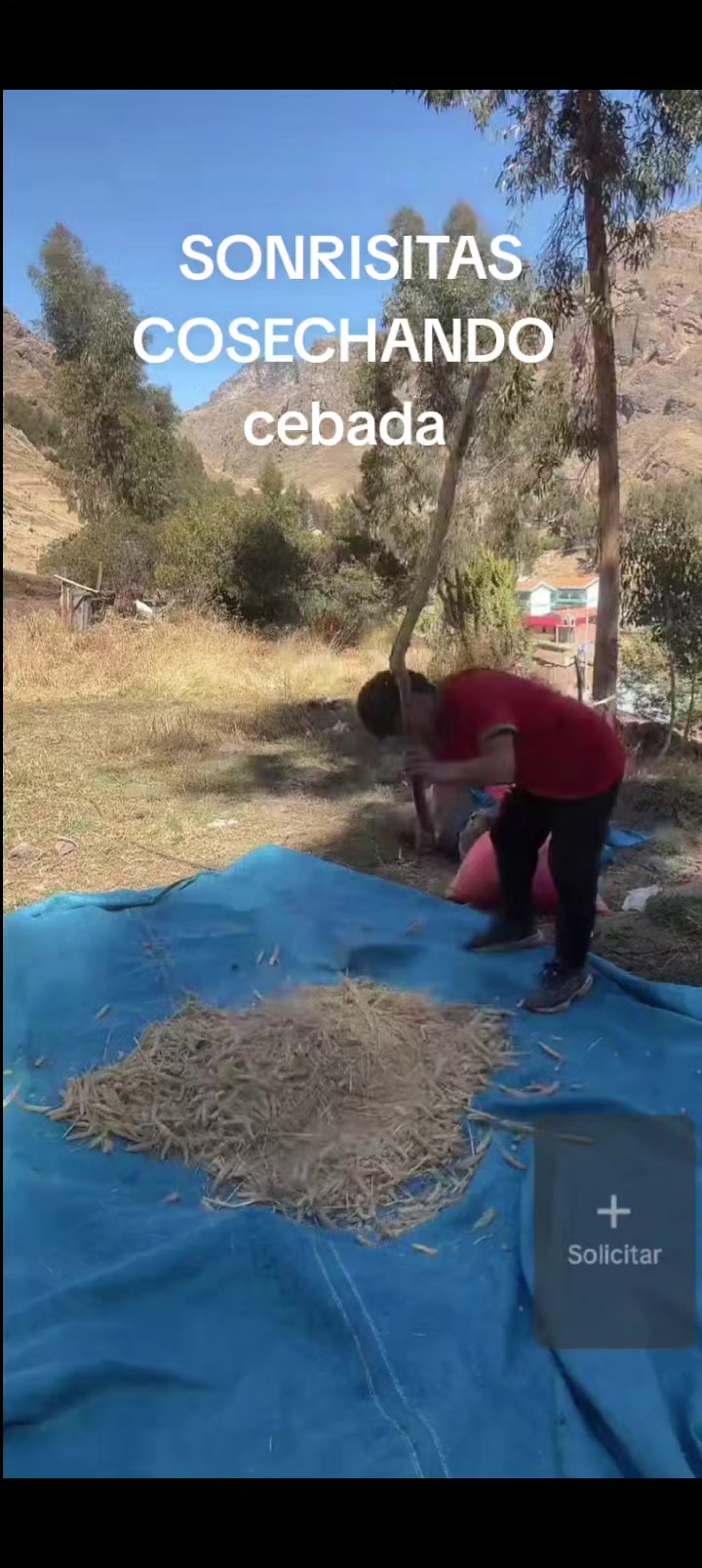 @CLIPS-SONRISITAS