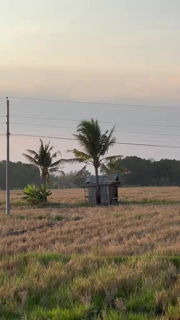 @𝙊𝙒𝙎𝙄𝙀𝙀𝙃