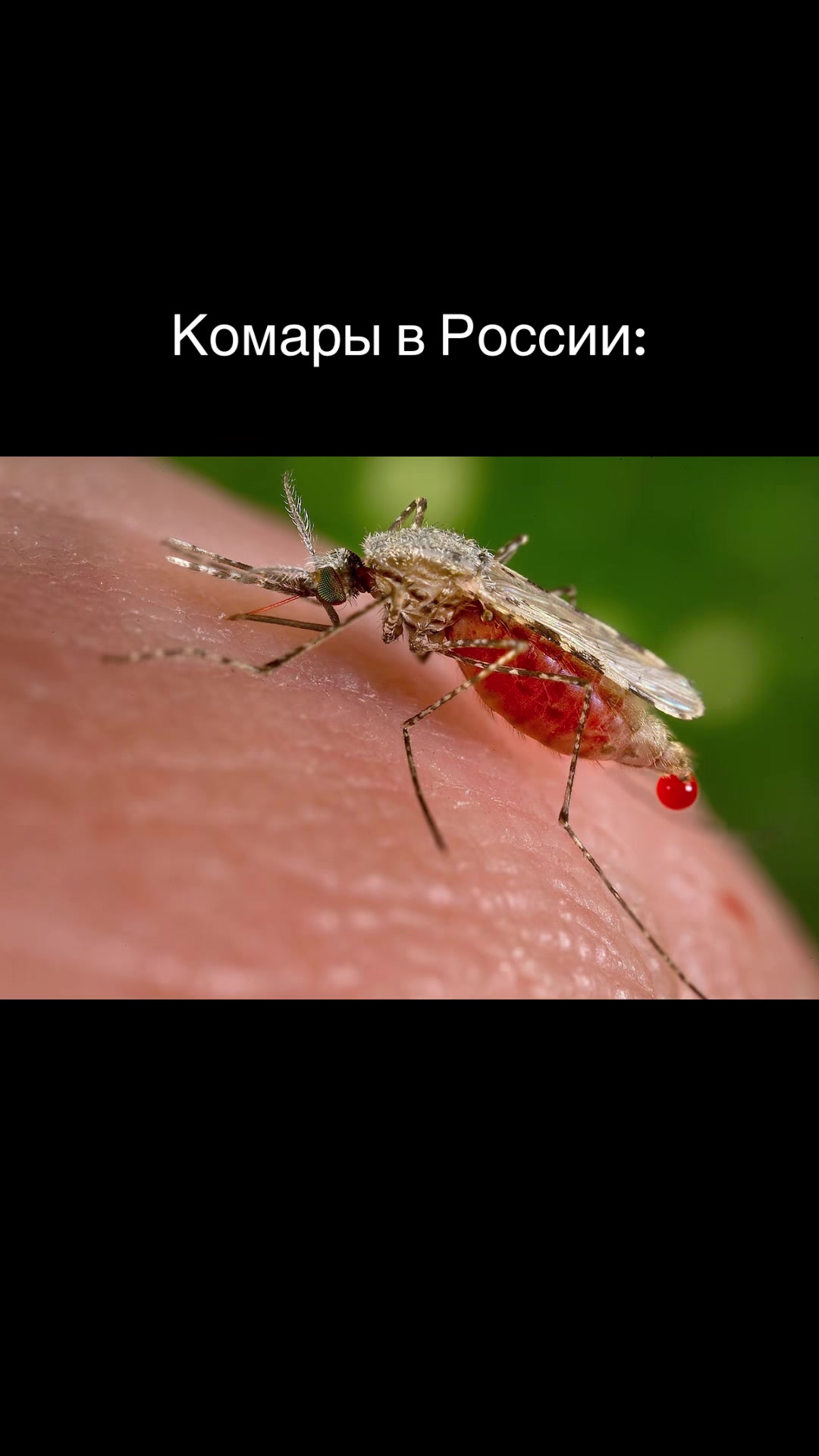@Воин