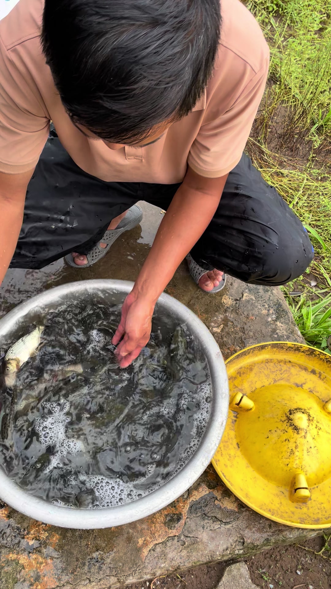 @Trại Cá Giống Quang Lâm