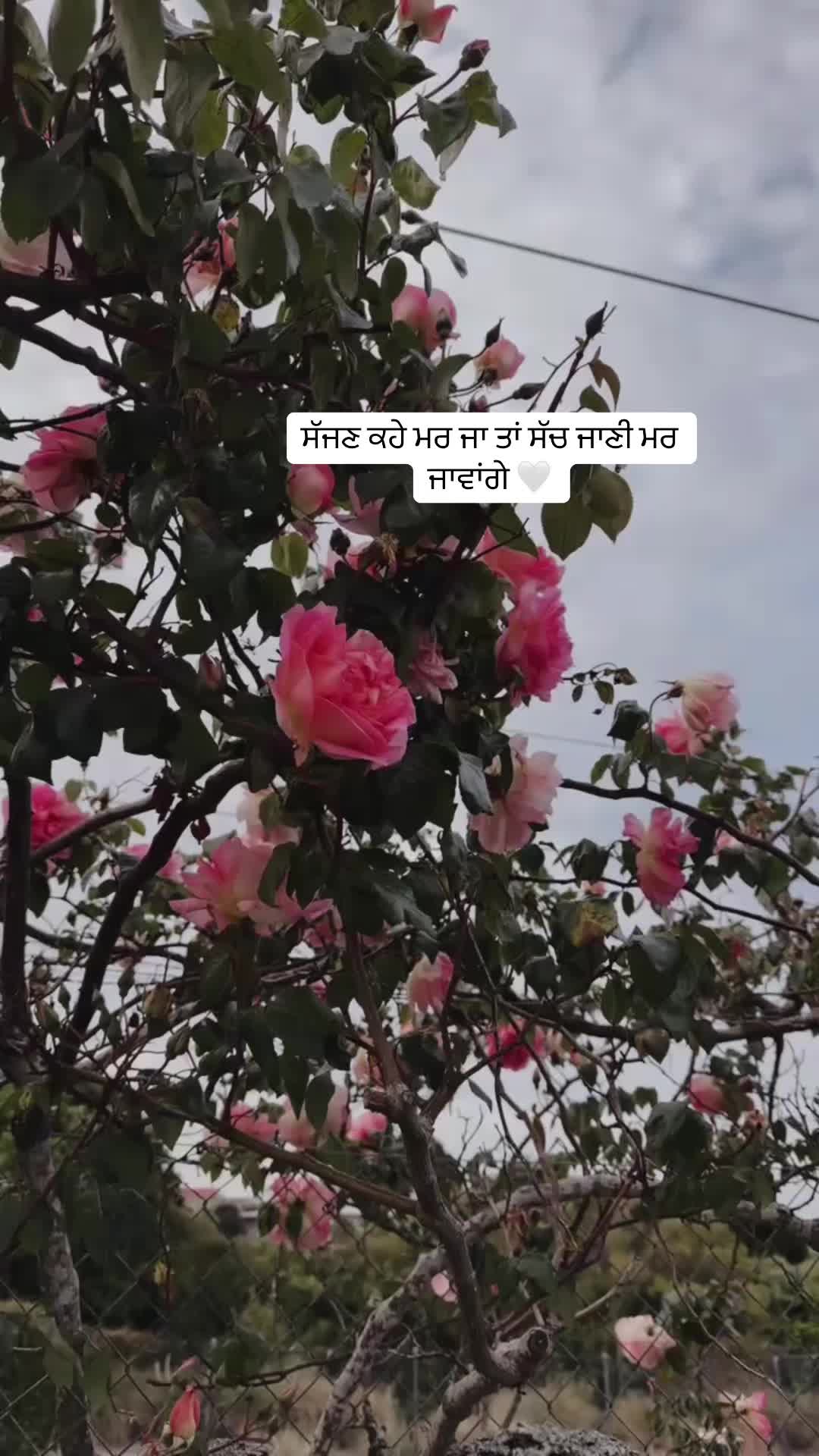 @hrmn_kr08