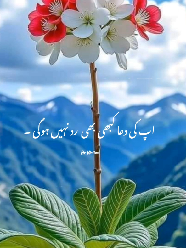 @alquranvoiceofislam