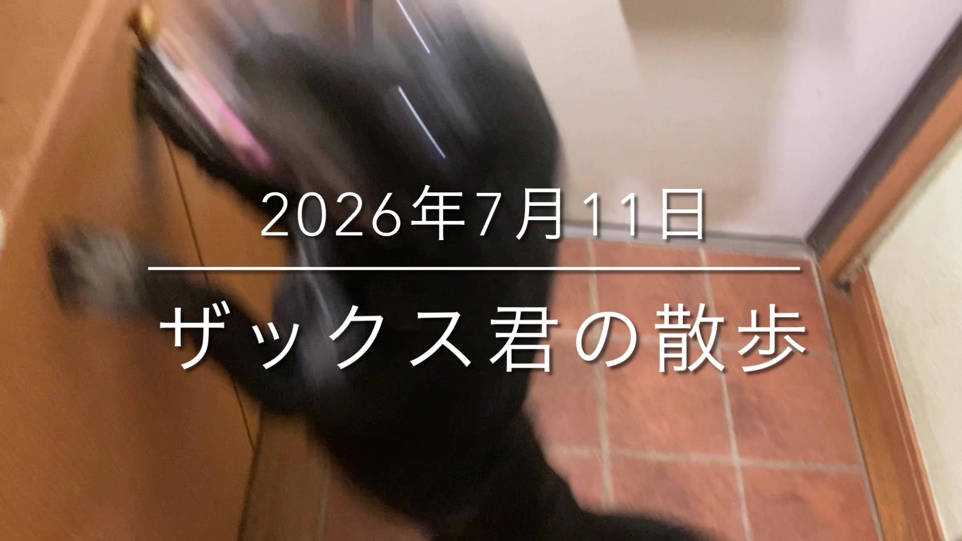 @sakihaman