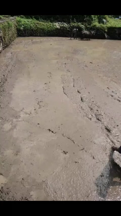 @सागर खड्का 🥰❣️