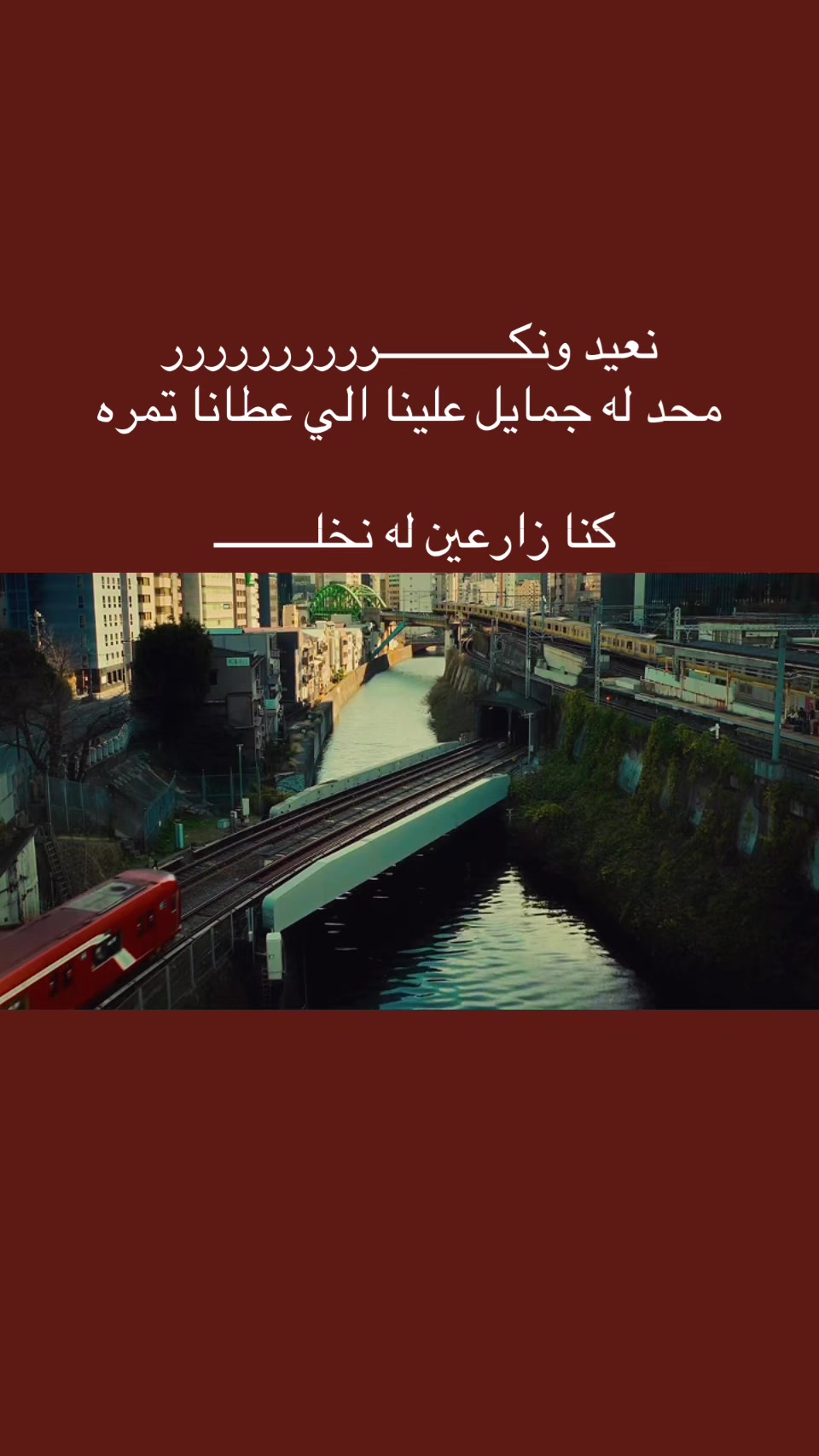 @المجتهد