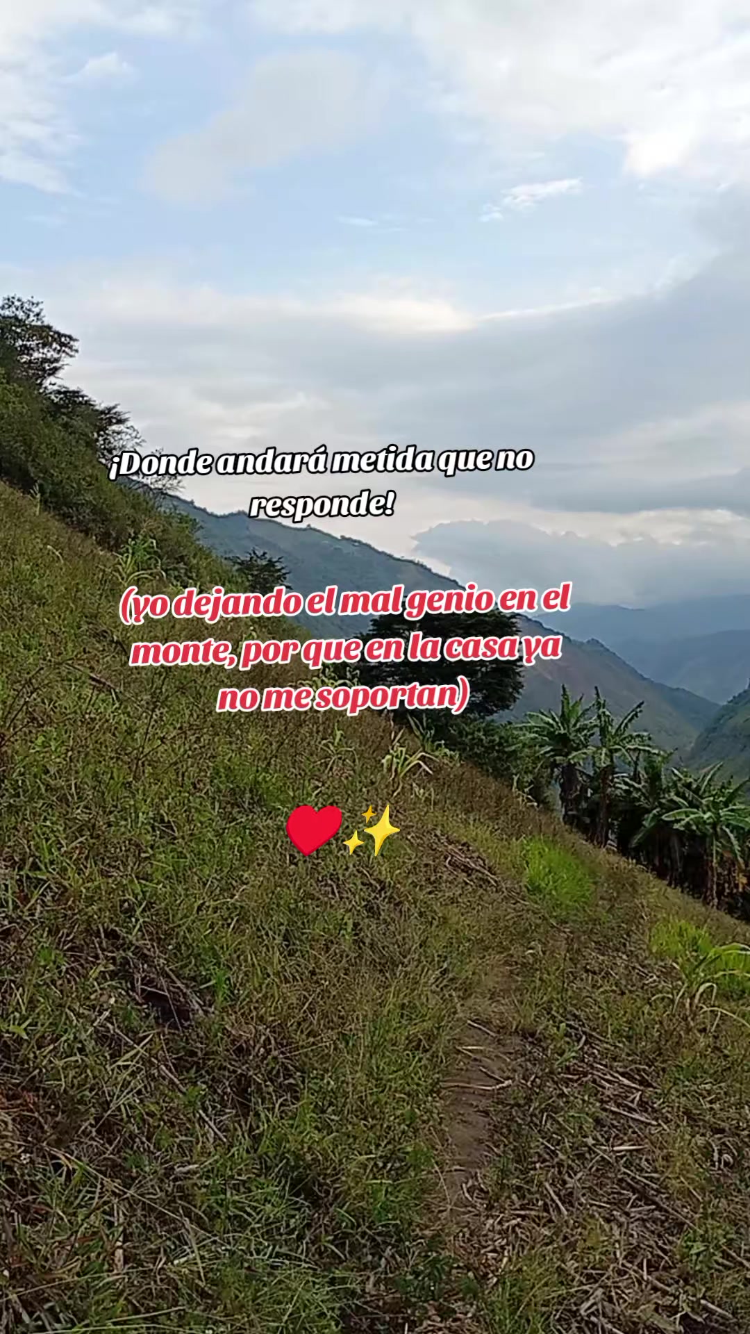 @Diana Naranjo