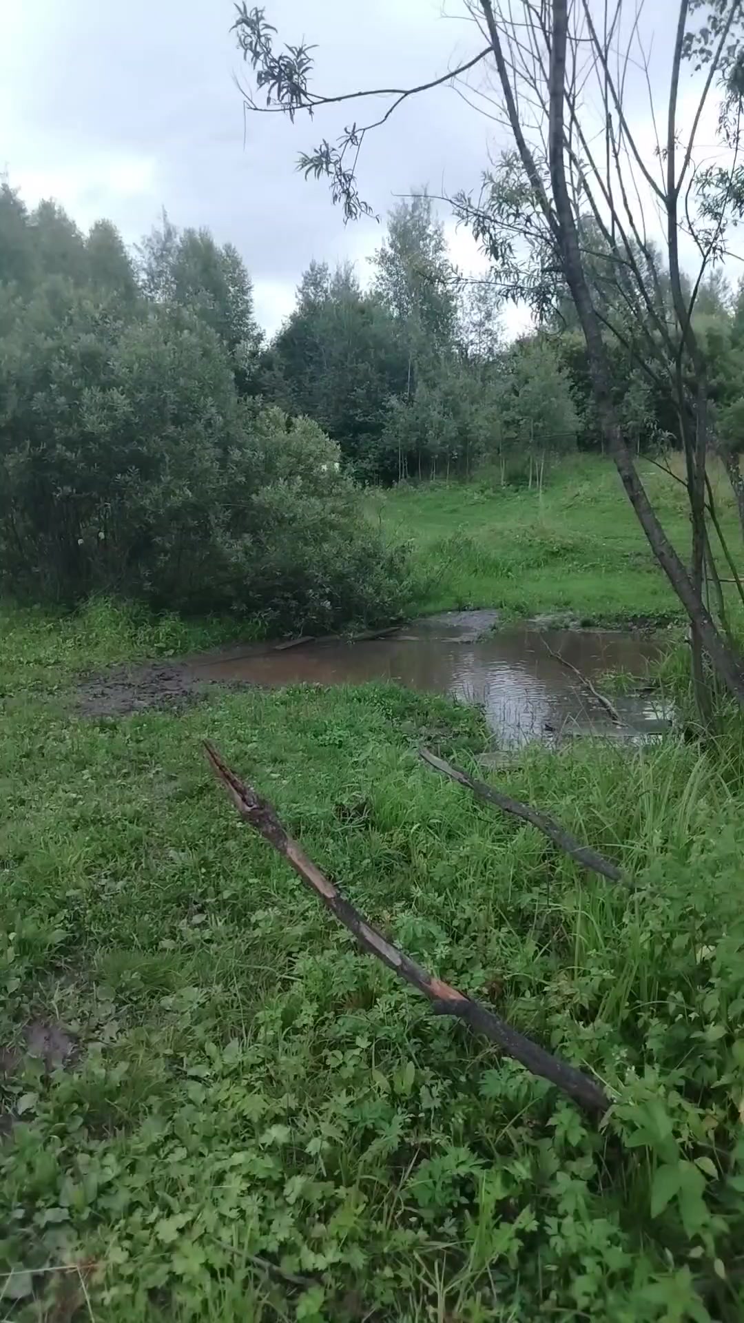@Бурмакина Дарья