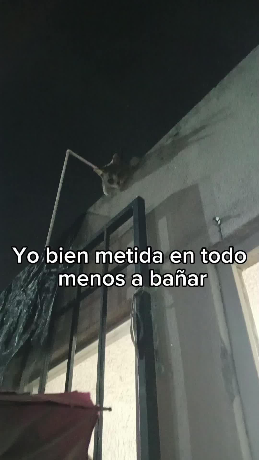 @Tanya y Ninna