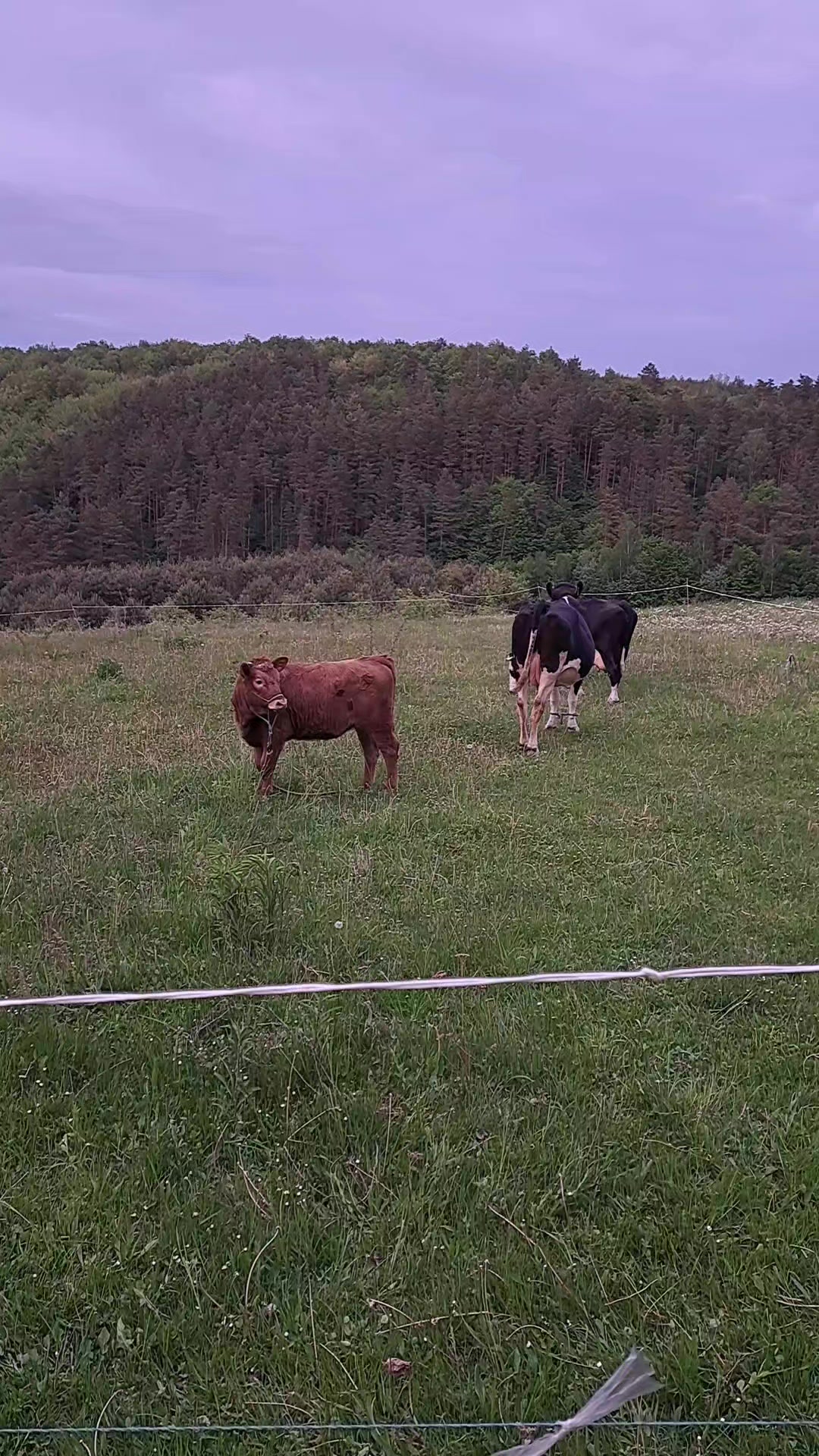 @Катерина Германюк