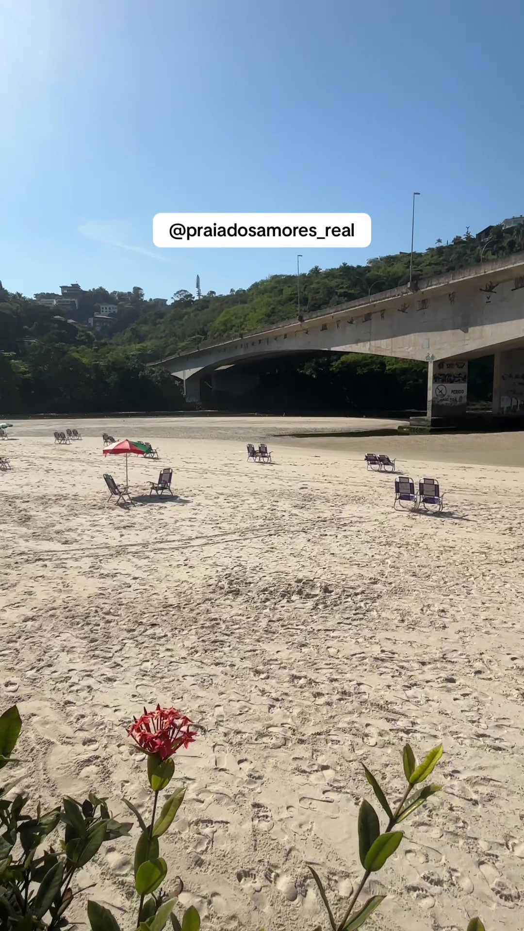 @Praia dos Amores Real