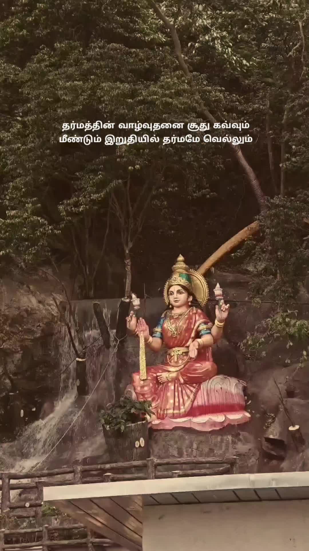 @DANUSHA7️⃣