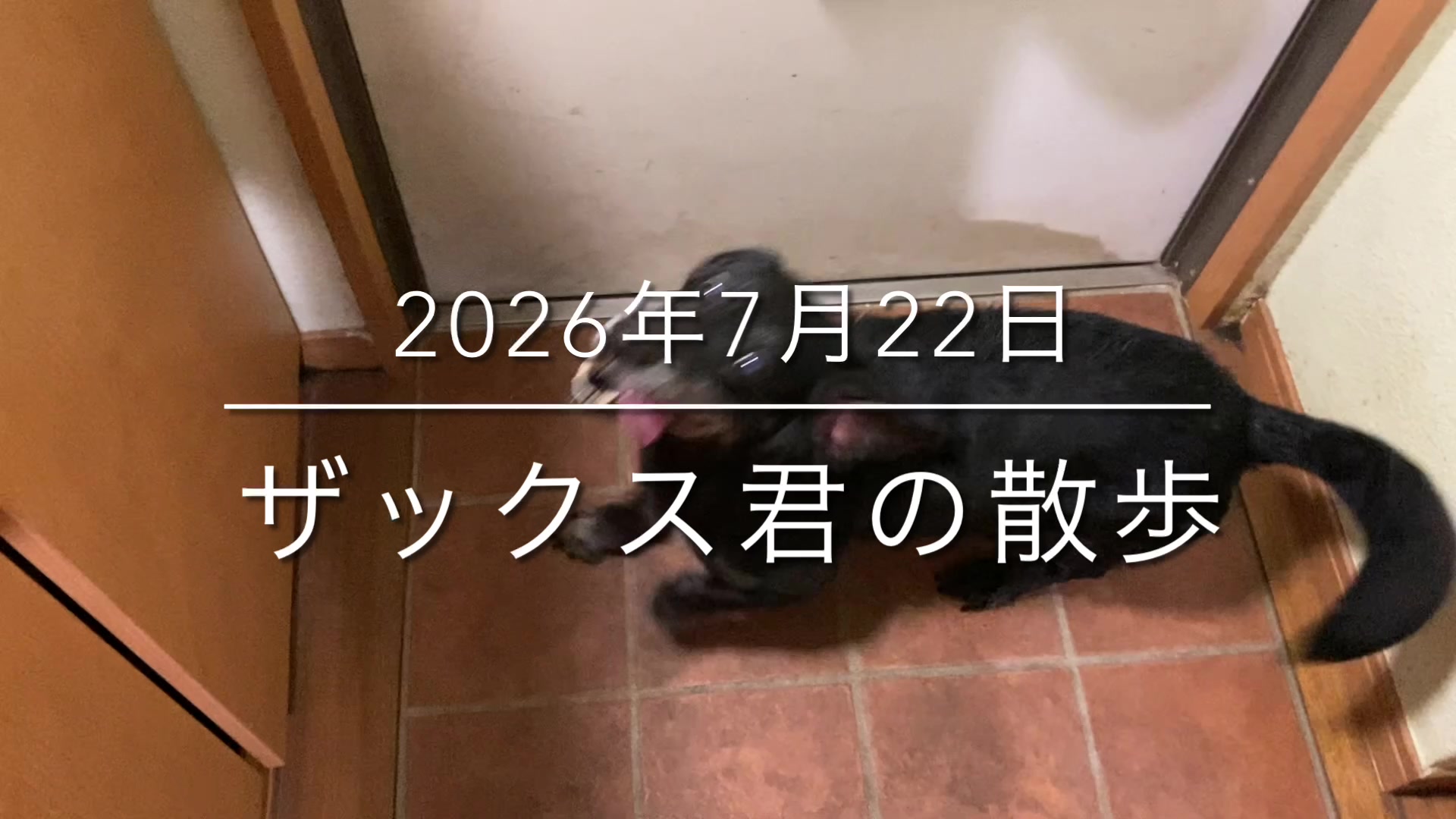 @sakihaman