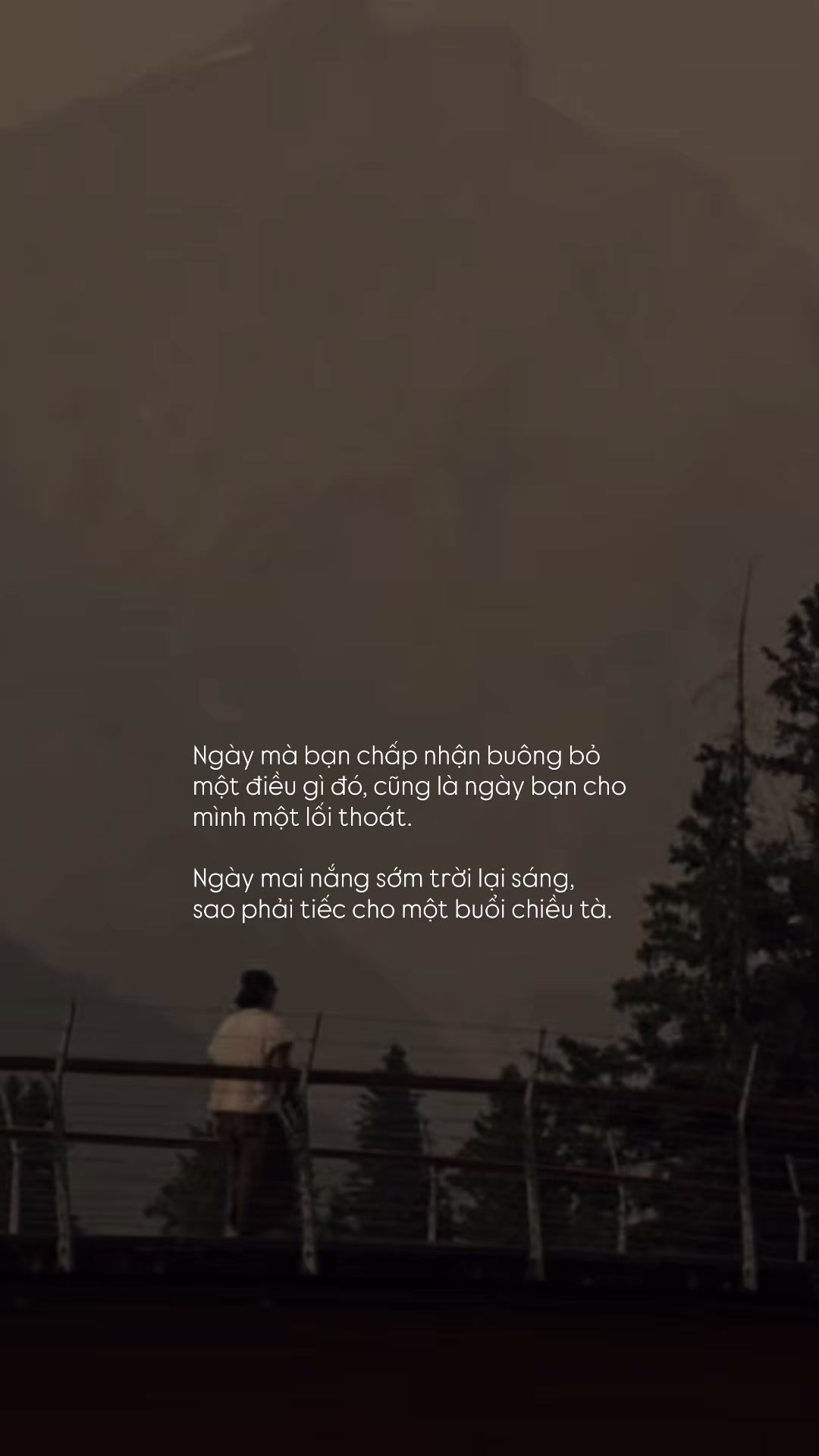 @Người Hiểu Chuyện