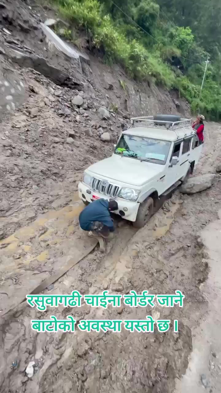 @kamdorjedm