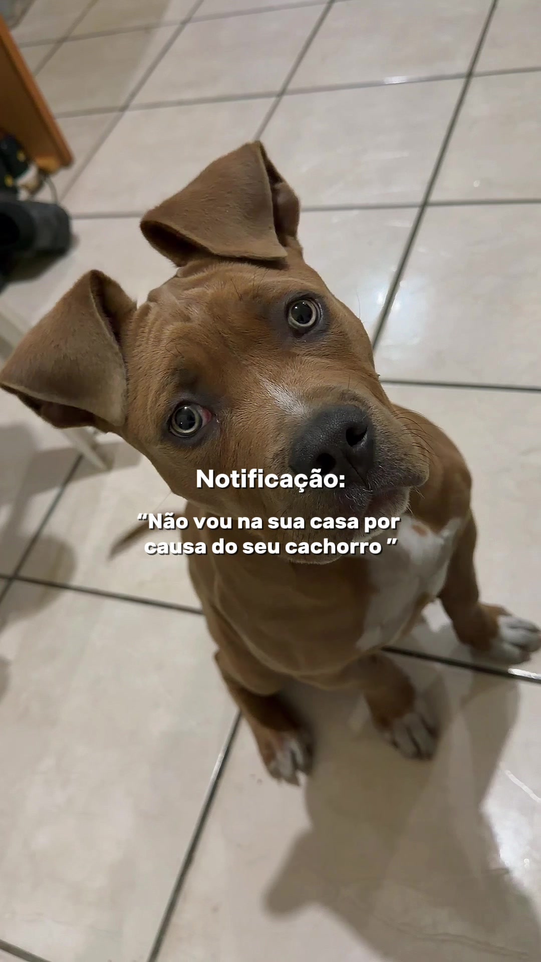 @Bruna Valverde