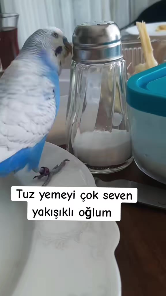 @naciye78