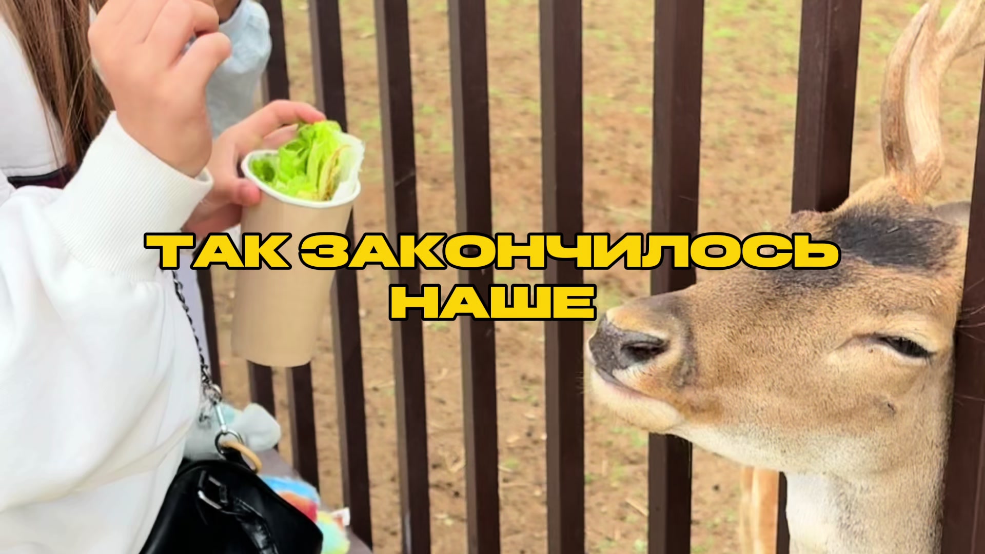 @тгк:милая лида🪽