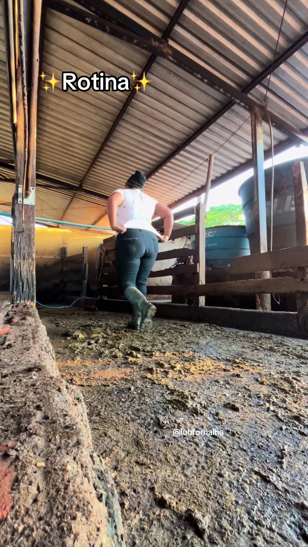 @Luh fornalha 🦚🐓🚜