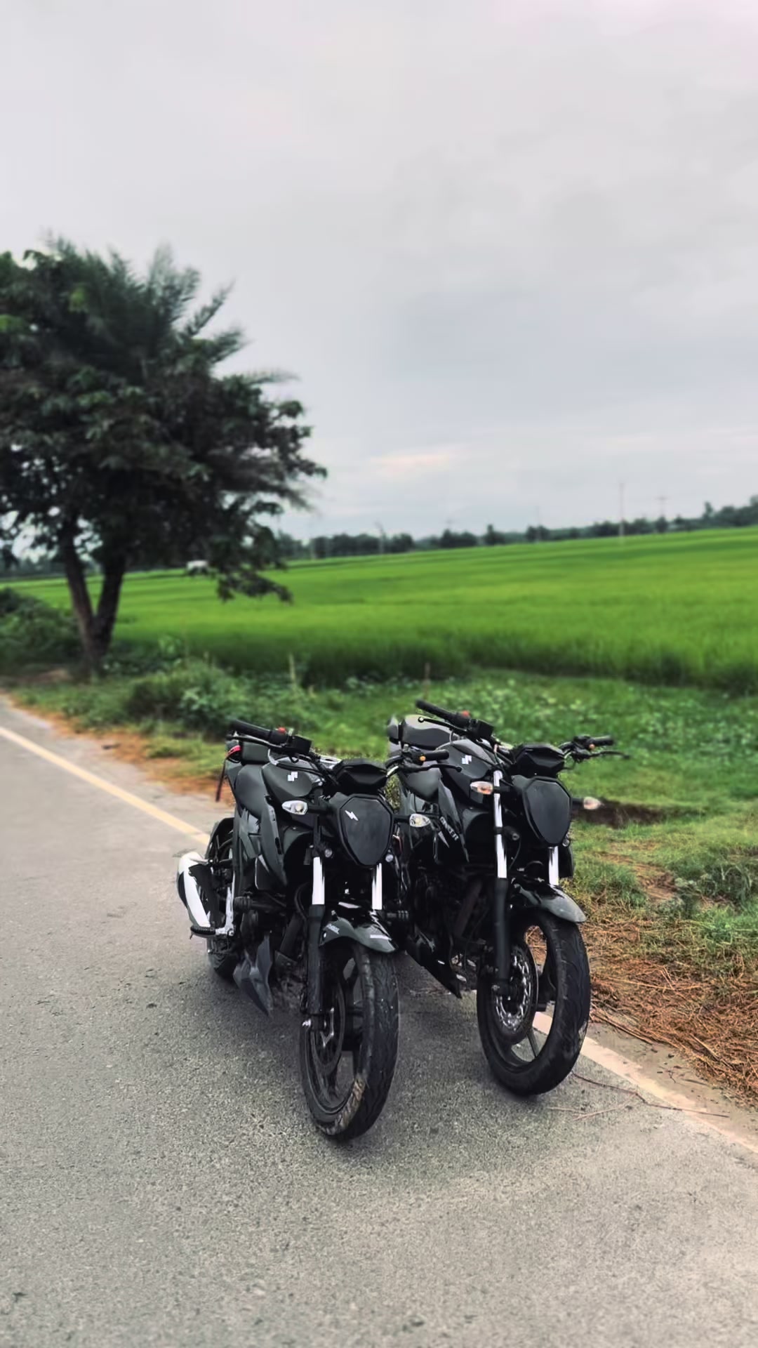 @Blackyy đĩ