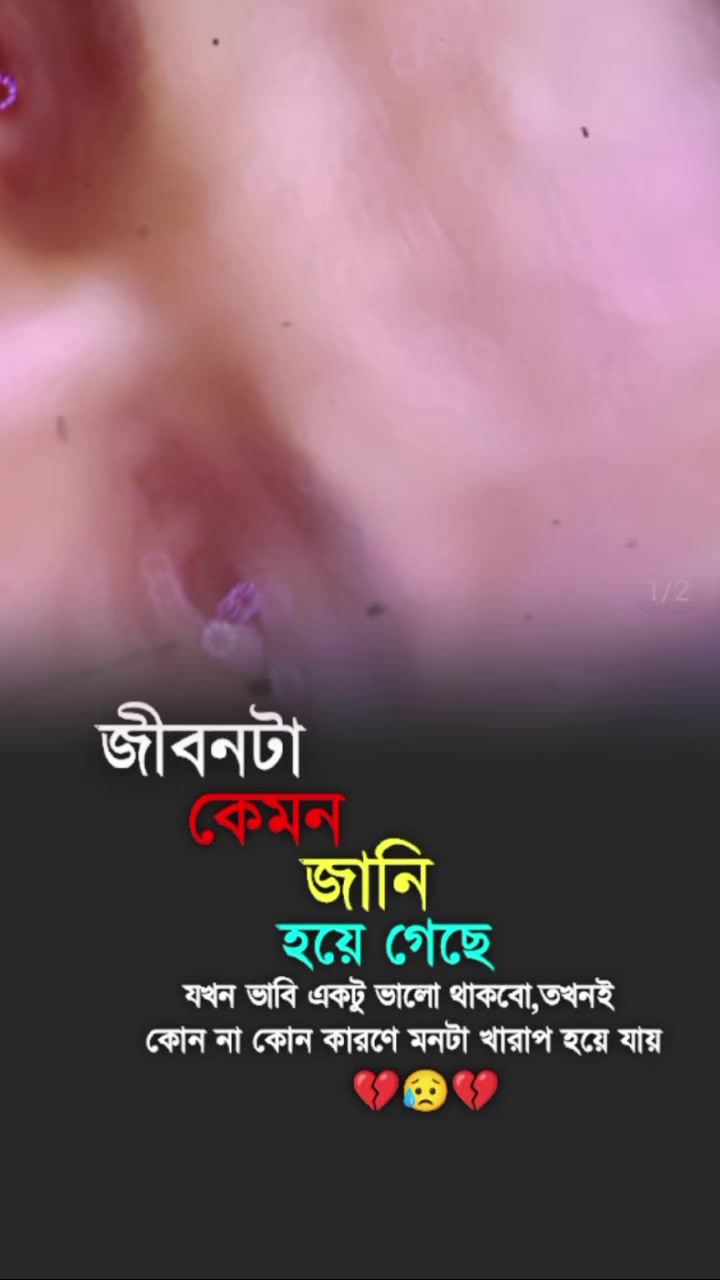 @MD al Amin howlader