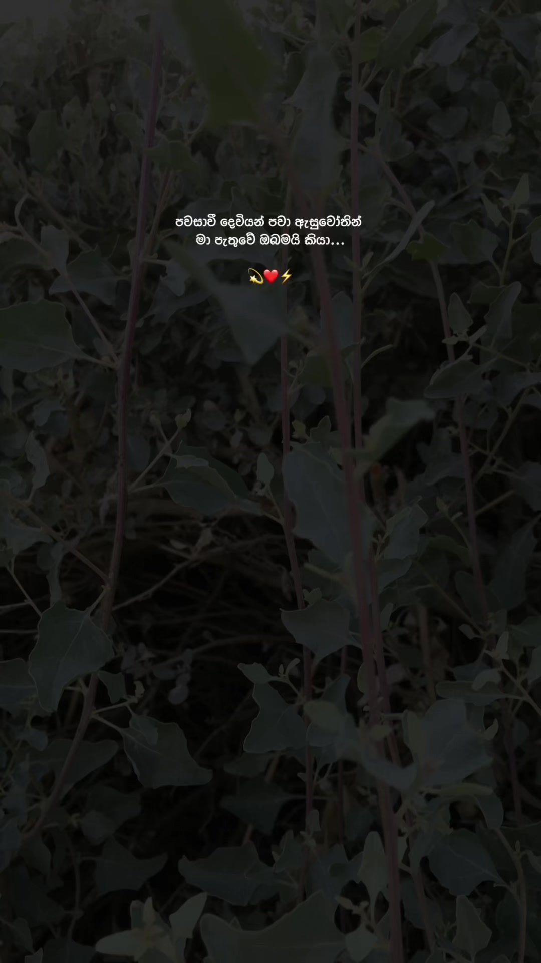 @𝓔𝓼𝓱𝓾𝓾 🎀!"