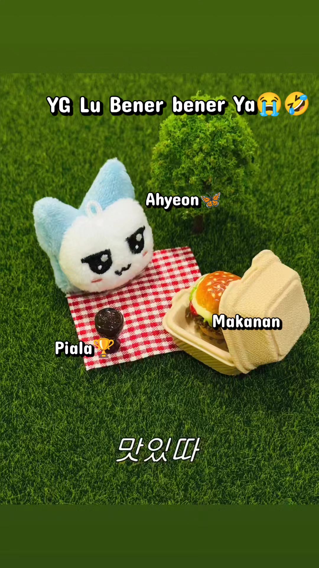 @AHYEON All ROUNDER
