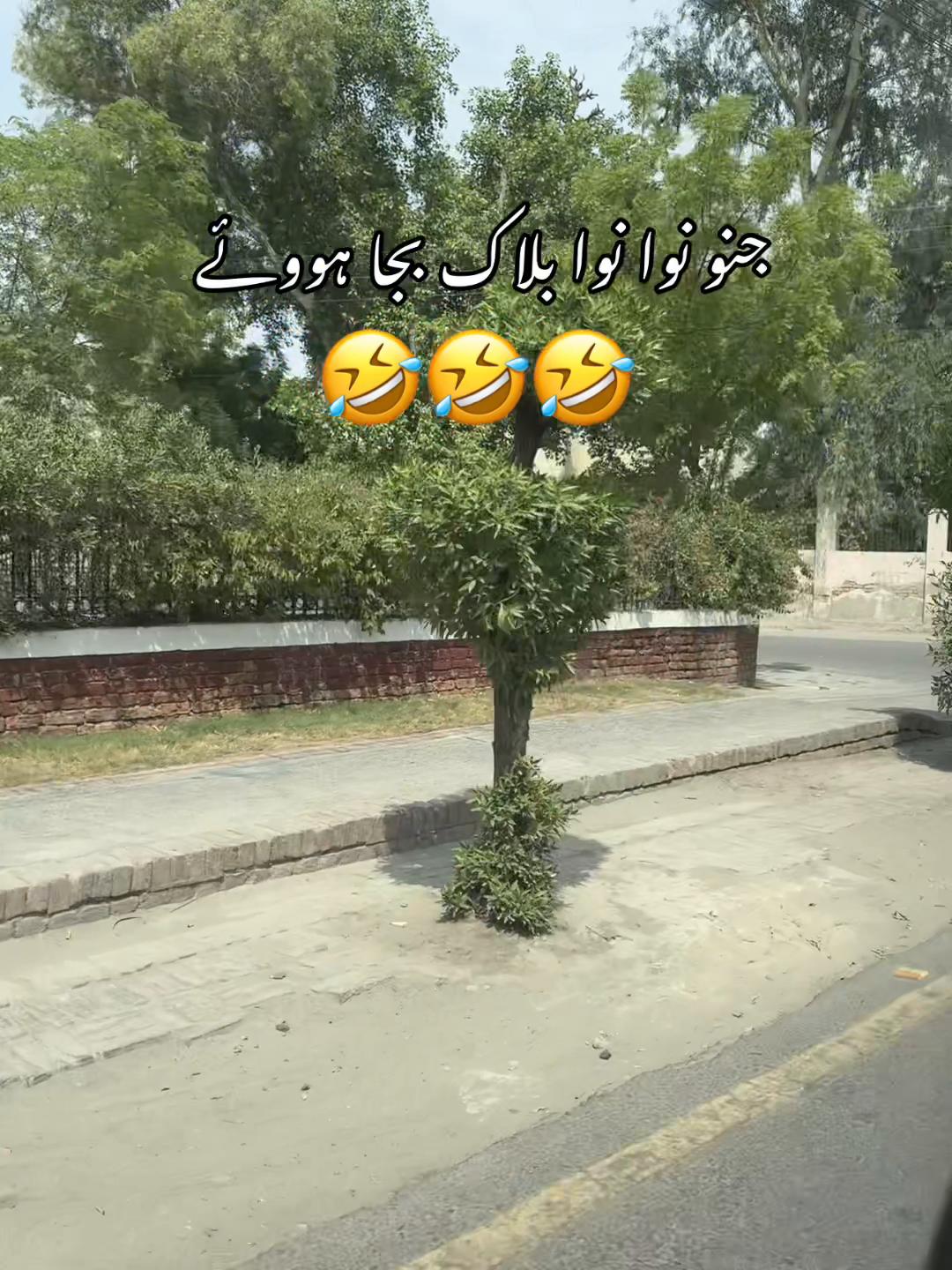 @Hajra 🇵🇰🇺🇸