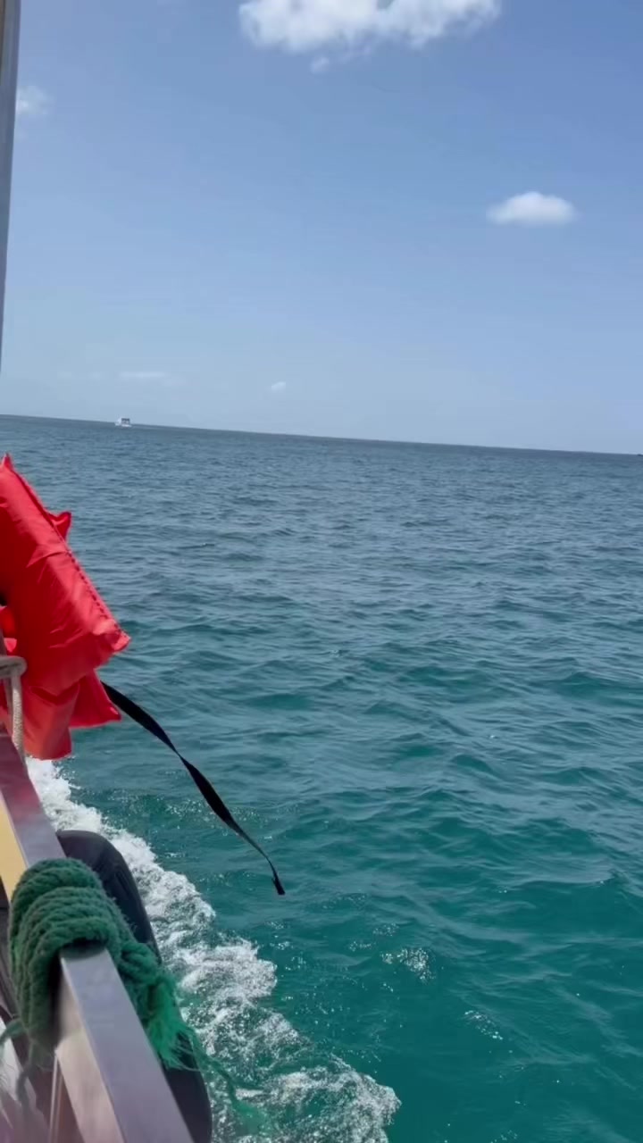 @Paola Restrepo