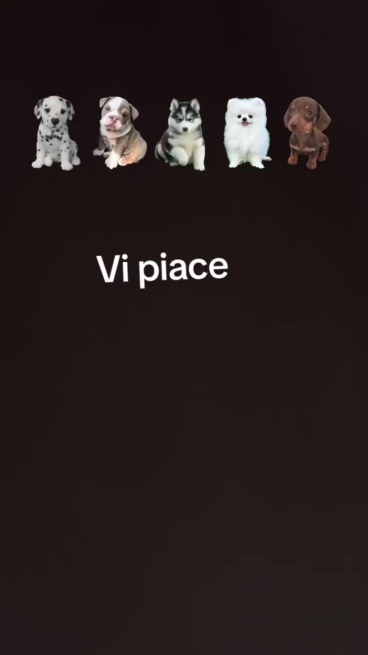 @Ari15