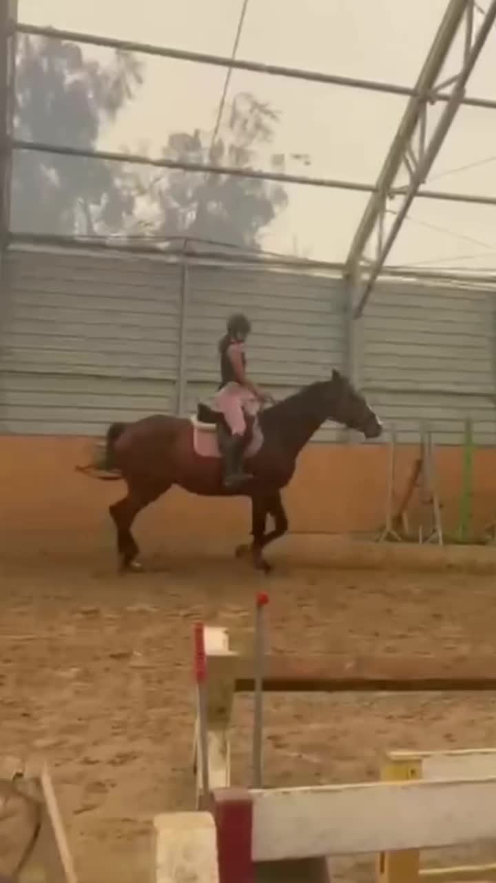@ig:  _.laurqxv