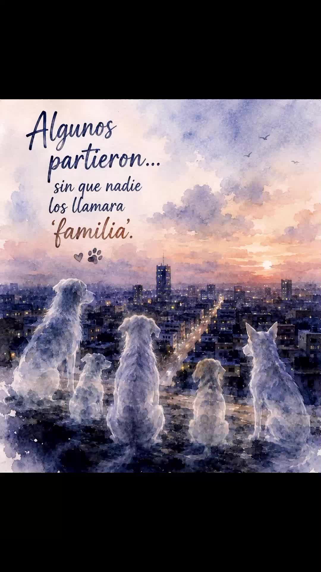 @varcan❤️