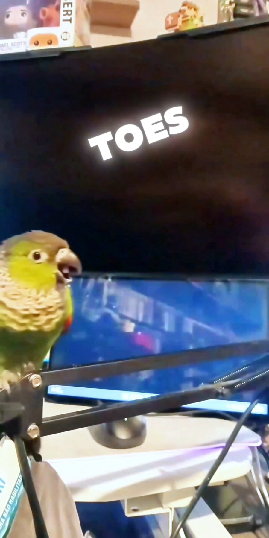 @QbertBird🦜👀