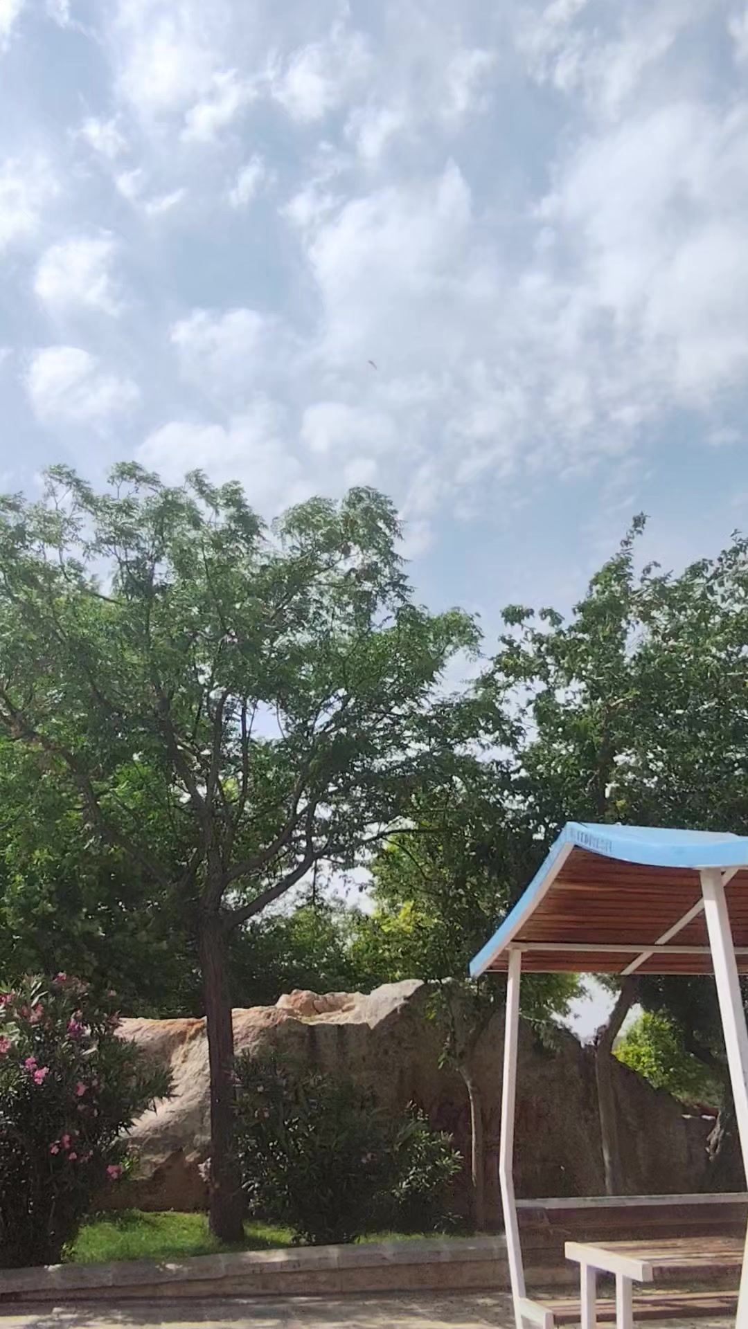@HALİL KARAKEÇİLİ.263