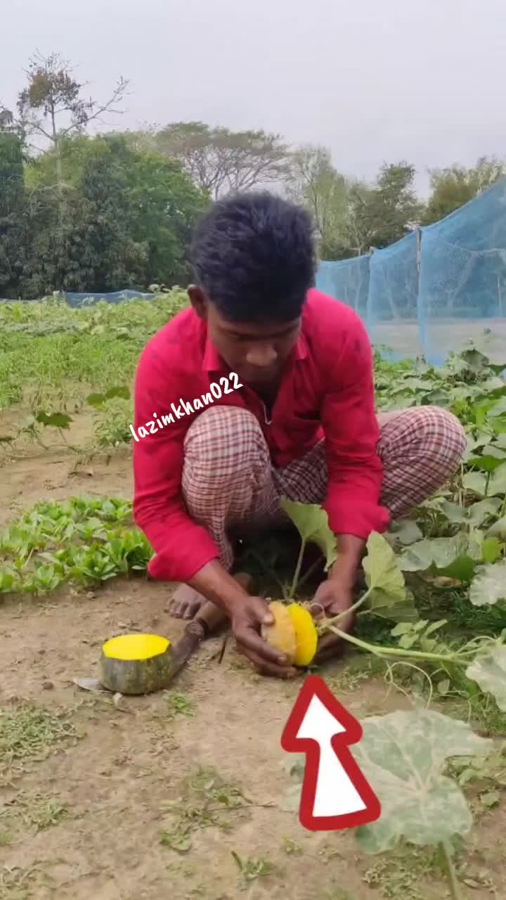 @ꪑ᥅_Ɩąʑıɱ_ƙɧąŋ>✌️🫡🇵🇰🇲🇾