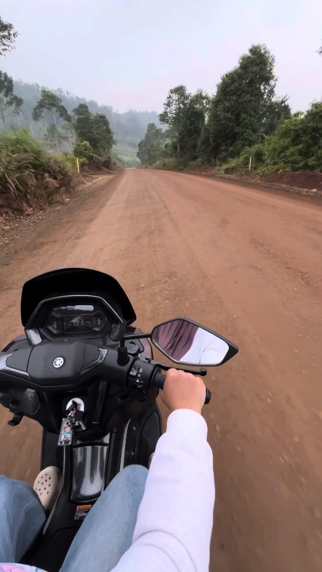 @dwinrislmi