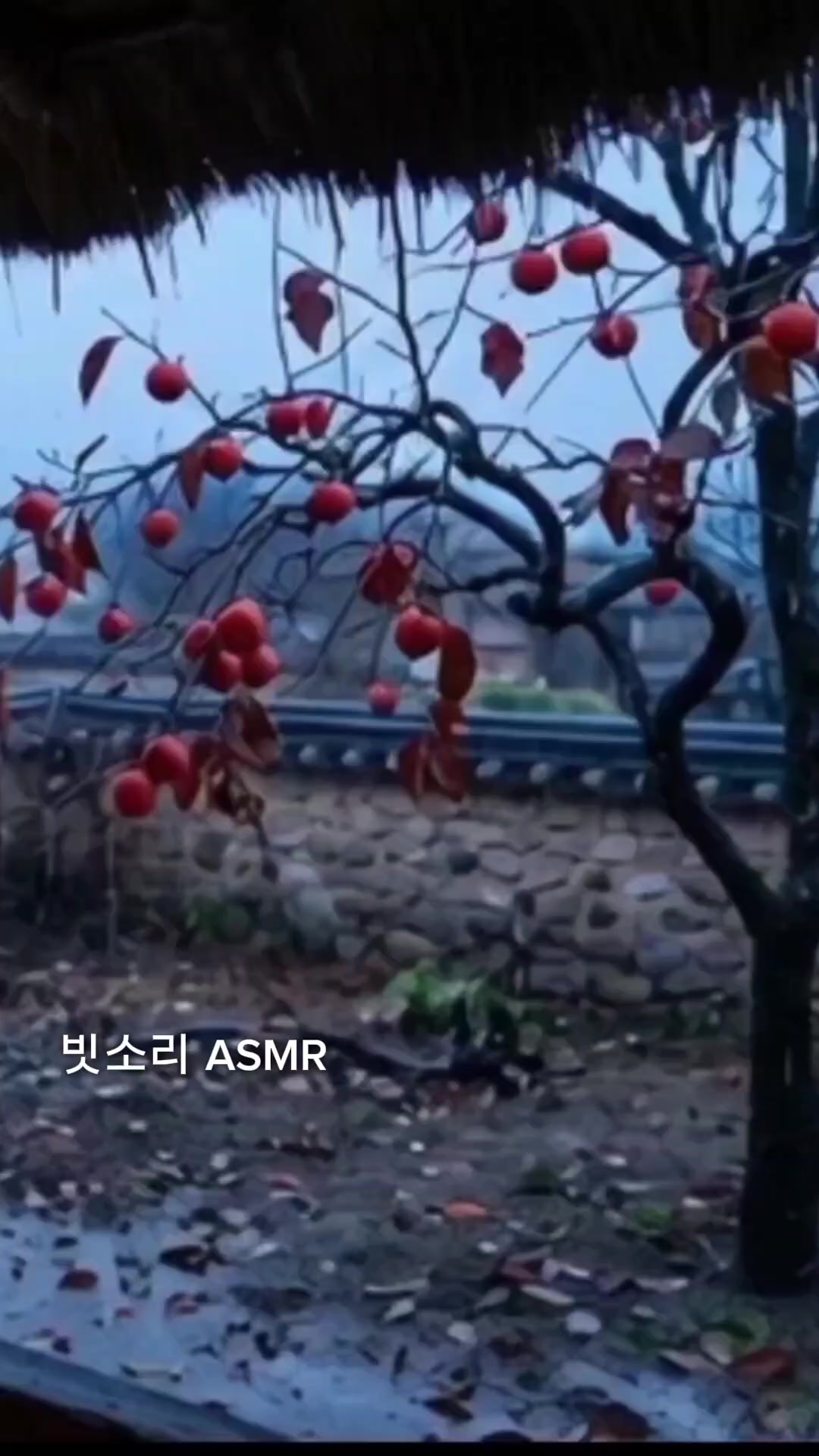 @Rain 감성 ASMR