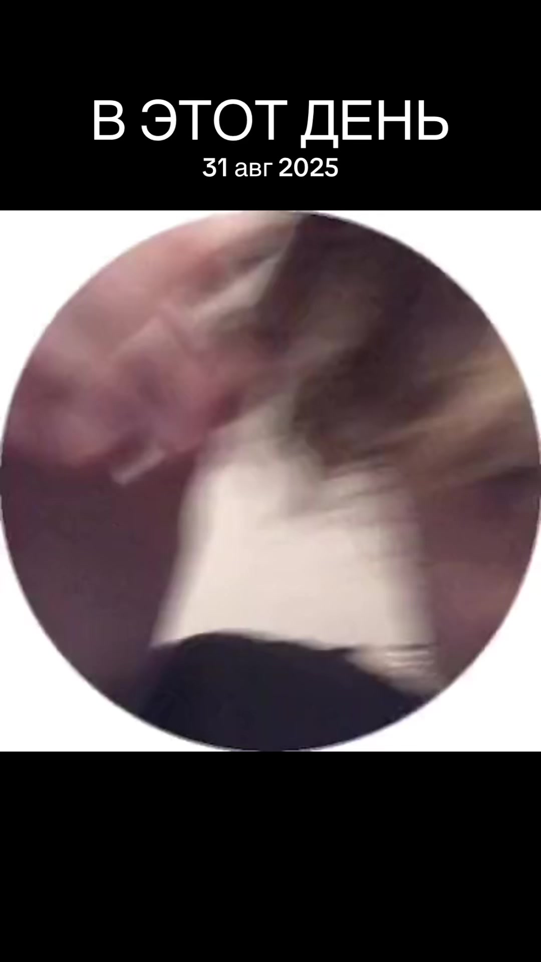 @hecodu