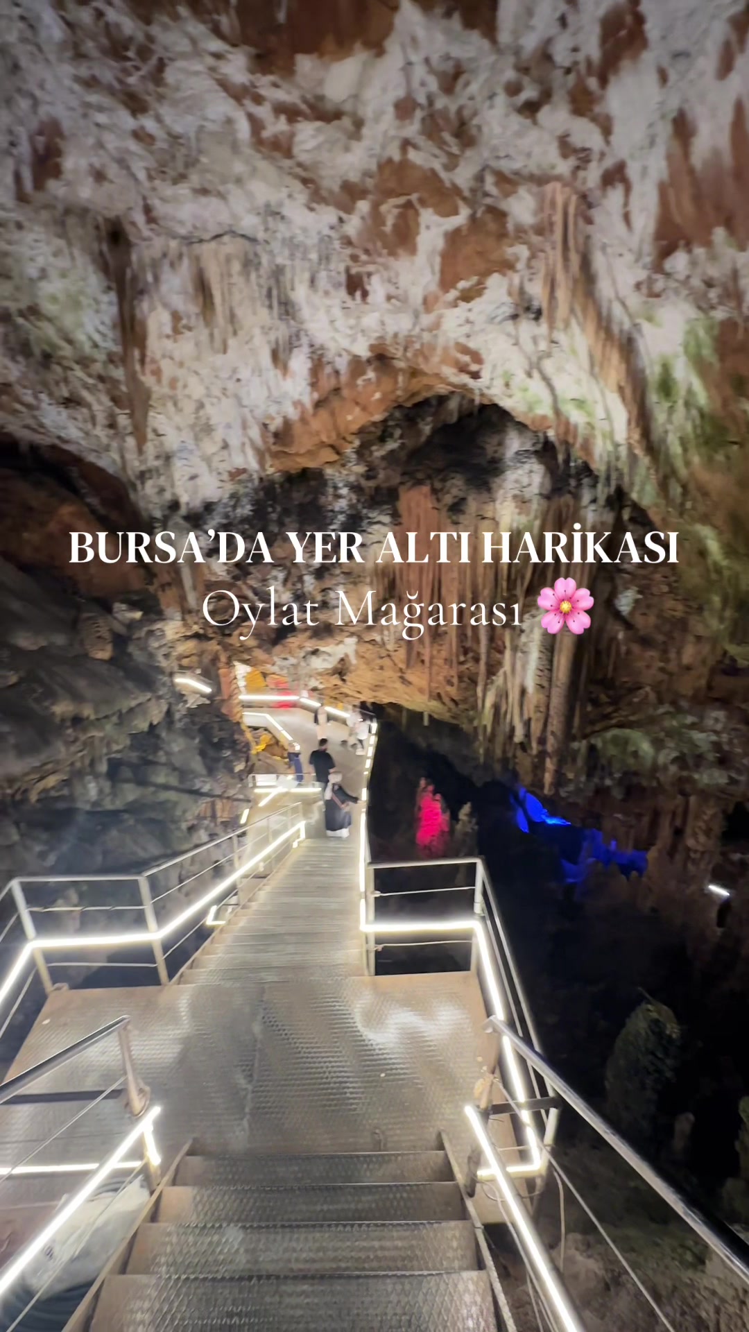 @Havva turan